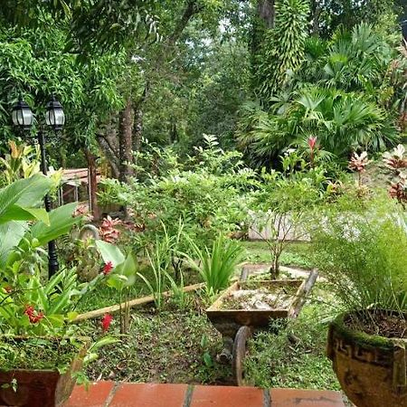 Dream House Homestay Minca Εξωτερικό φωτογραφία