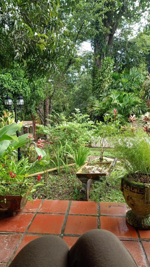 Dream House Homestay Minca Εξωτερικό φωτογραφία